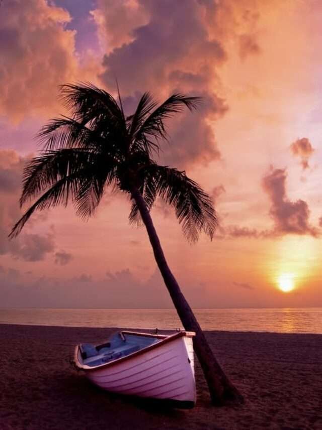 Goa Beaches : गोवा के 5 फेमस बीच