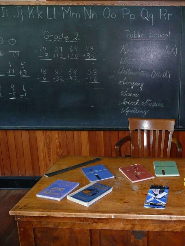 REET Level 1&2 Exam Notification Out