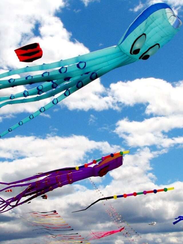 Kite Festival : मकर संक्रांति क्यों मनाई जाता है?