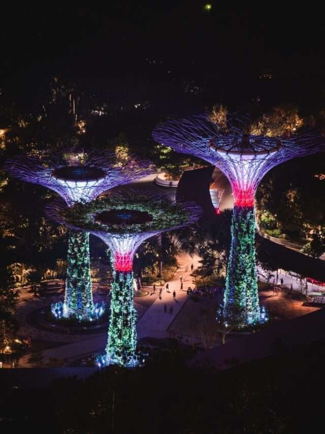 Singapore Facts : व्यंजनों की राजधानी माने जाने वाले शहर के कुछ तथ्य