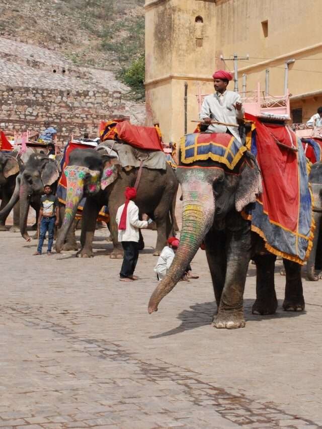 hathi gaon by shivarth education