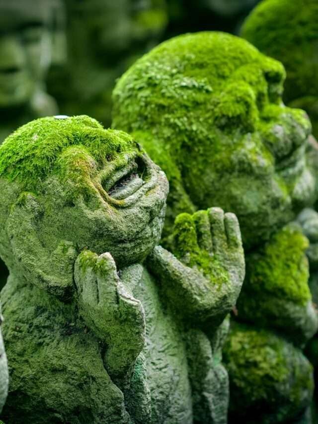 जापान से जुड़े कुछ अनसुने तथ्य