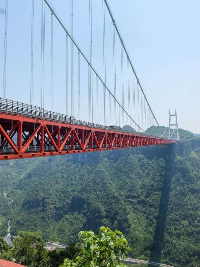 cable rail bridge