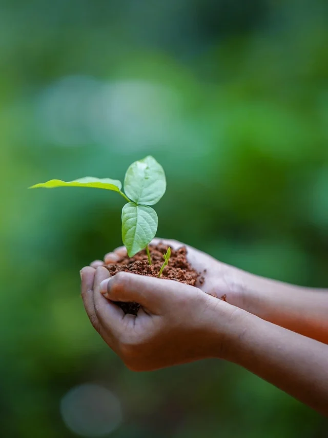 earth day by shivarth education