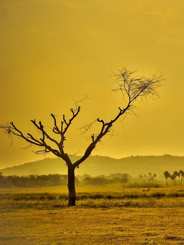 haldighati in hindi by shivarth education