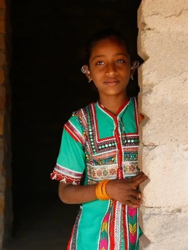 gujarat foundation day