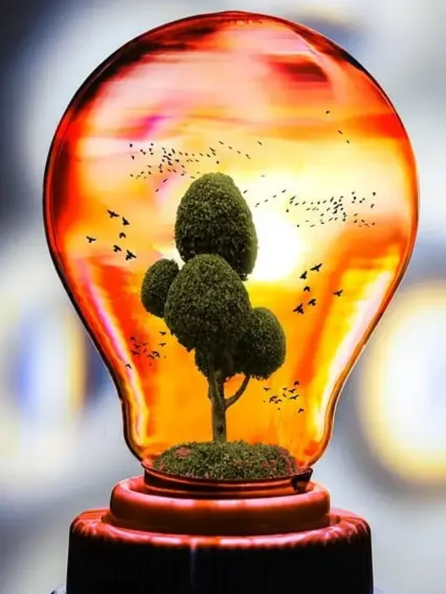 world environment day