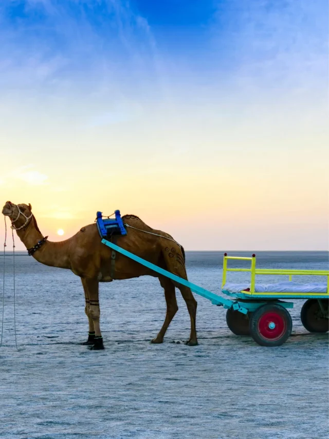 kutch in hindi by shivarth education