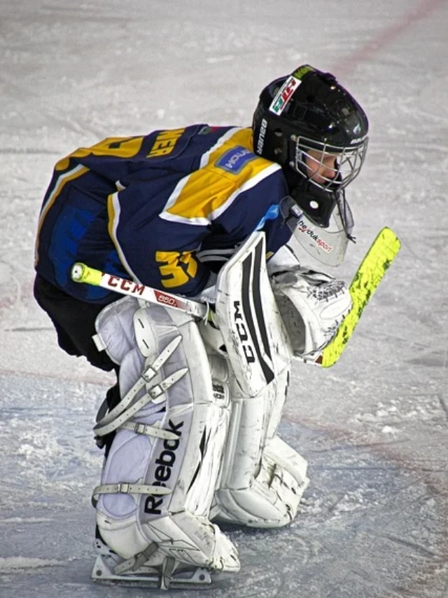 national sports day theme in hindi