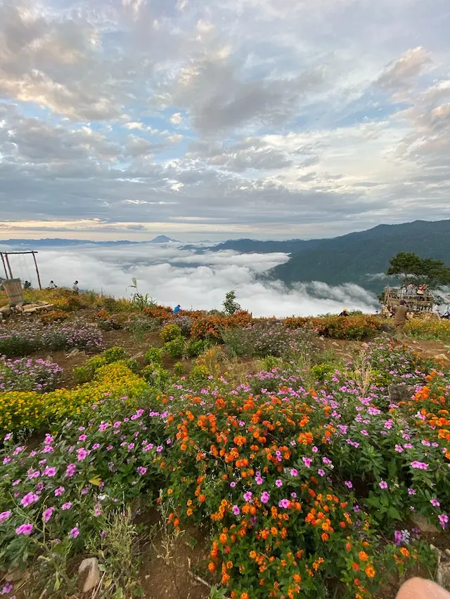 valley of flowers