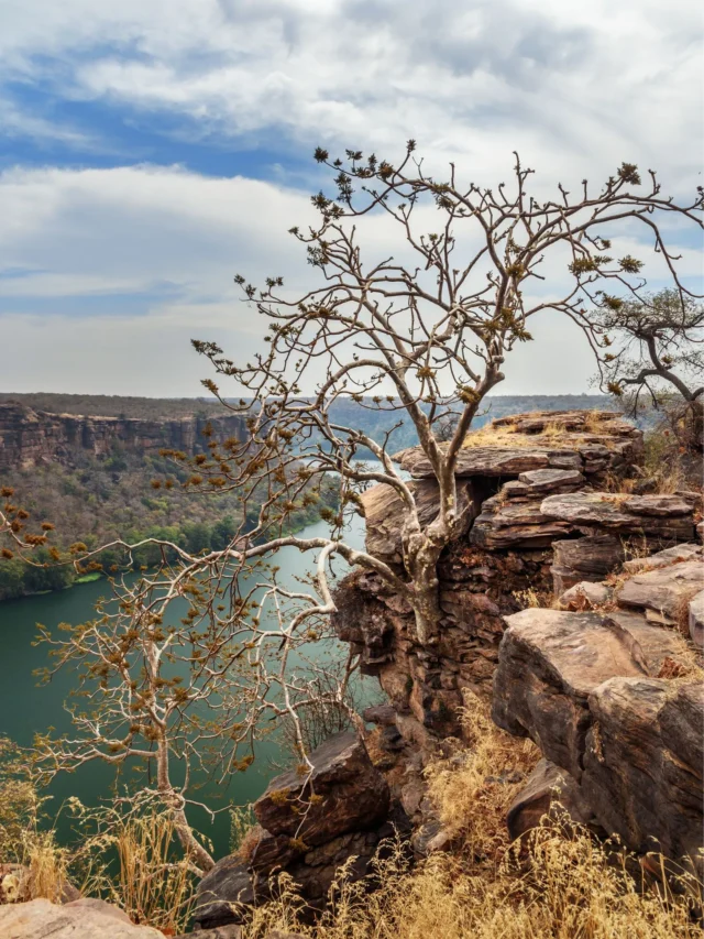 kota history in hindi