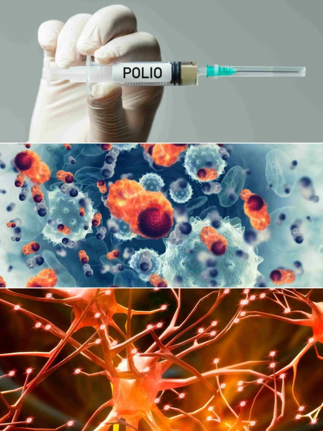 discoveries in biology in hindi