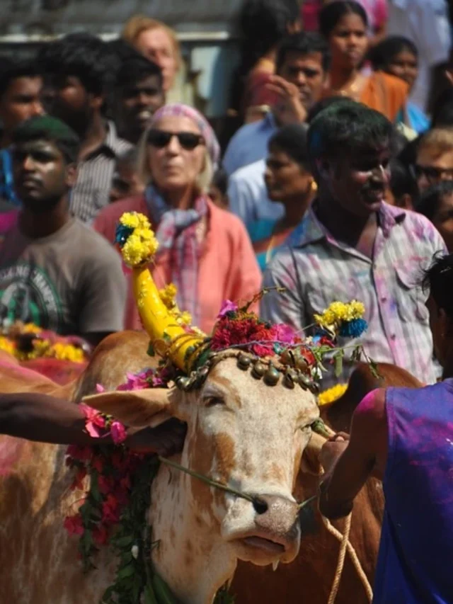 festivals in kartik month in hindi