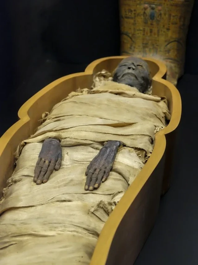 history of egypt in hindi