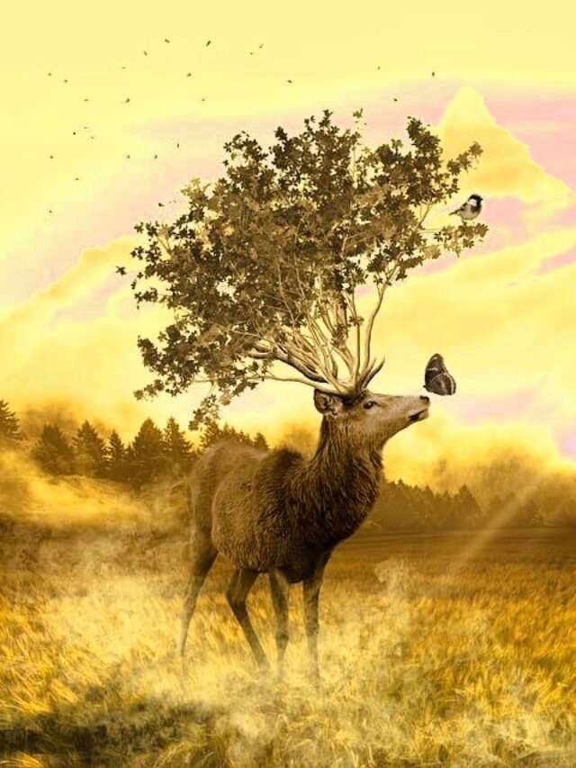 floating national park in india hindi