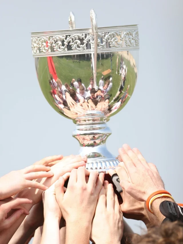 india at cricket world cup in hindi