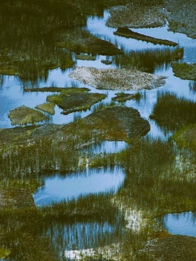 loktak lake in hindi