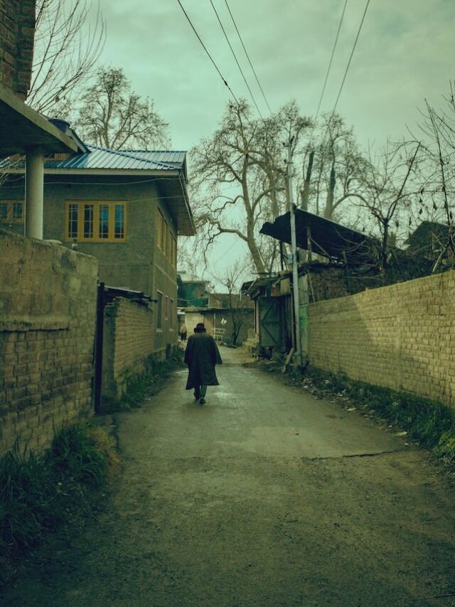 Article 370 in hindi