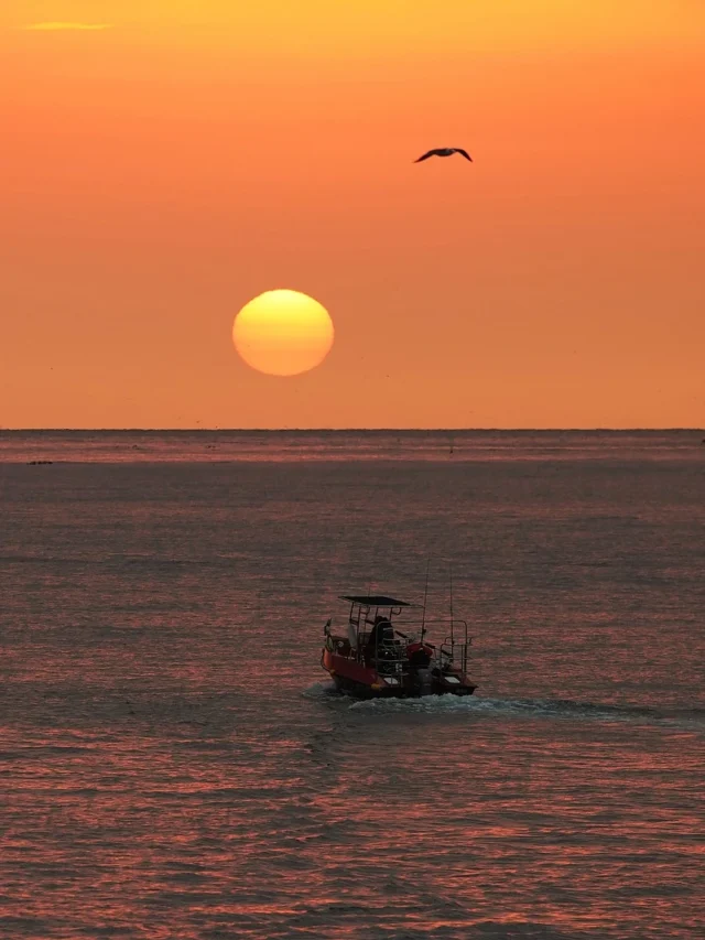 interesting facts about red sea in hindi