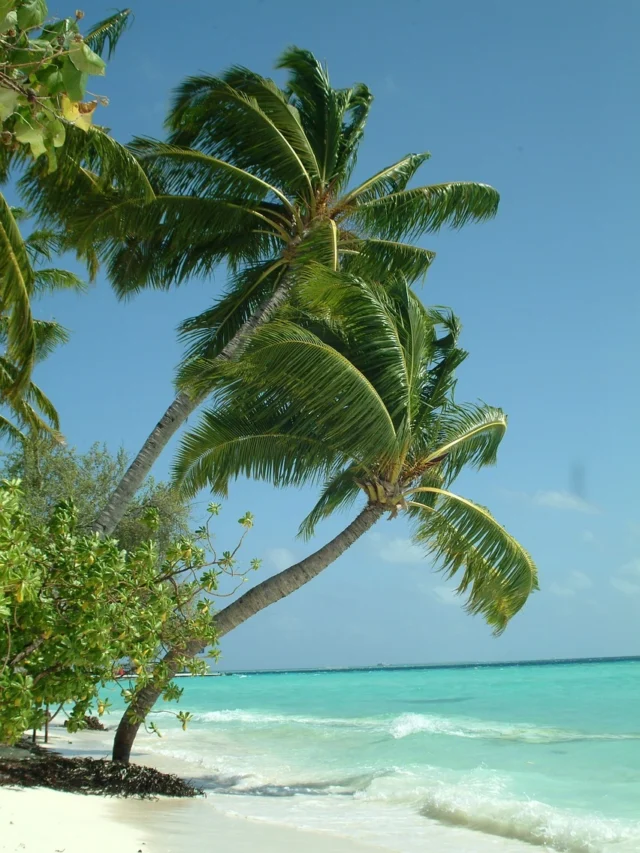 lakshadweep facts in hindi