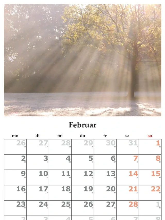 what is a leap year in hindi
