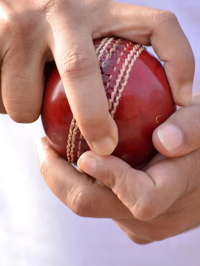 World's No 1 Test Bowler in Hindi