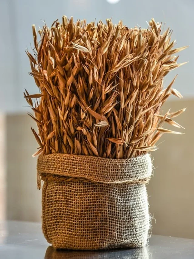 Current Affairs of 5 April 2024