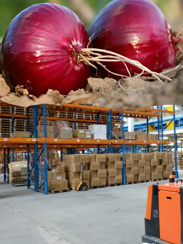 indian onion export hindi current affairs