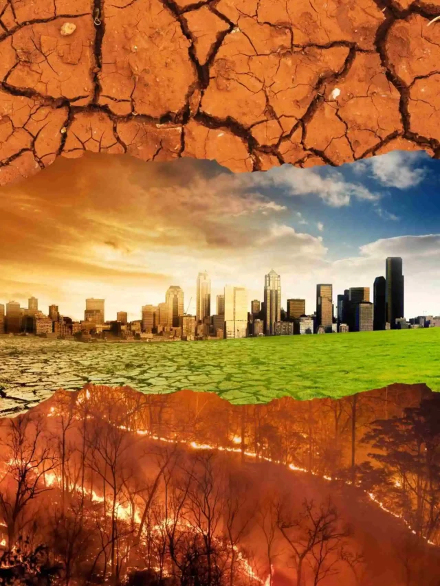 El Nino Effects in India in Hindi