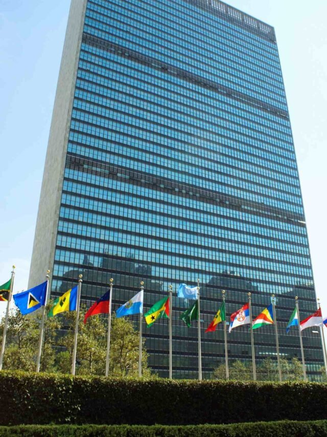 National Ambassador of UNICEF India