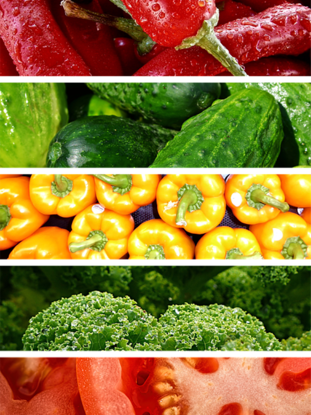 Scientific Name of plants in Hindi