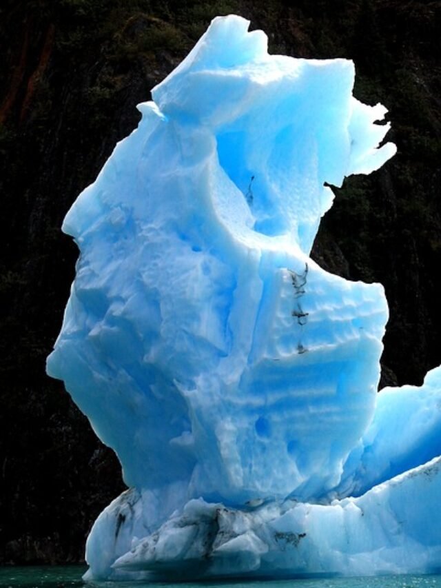 largest glacier in the world in hindi