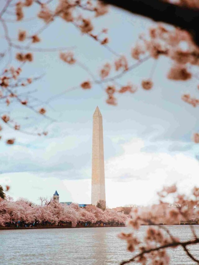 Current Affairs Oneliners of 9 July 2024