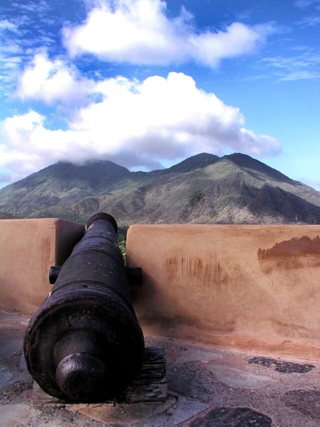 Asia's Largest Cannon Name in Hindi