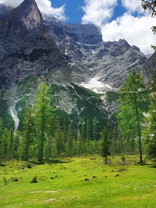 Continents and Their Highest Peak